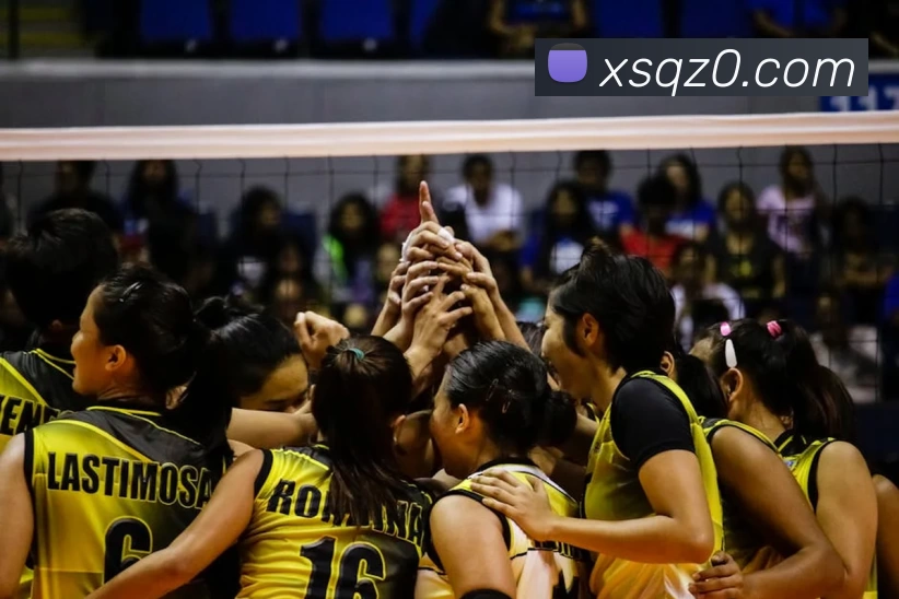 九游会(J9集团)·官方网站APP 封面图